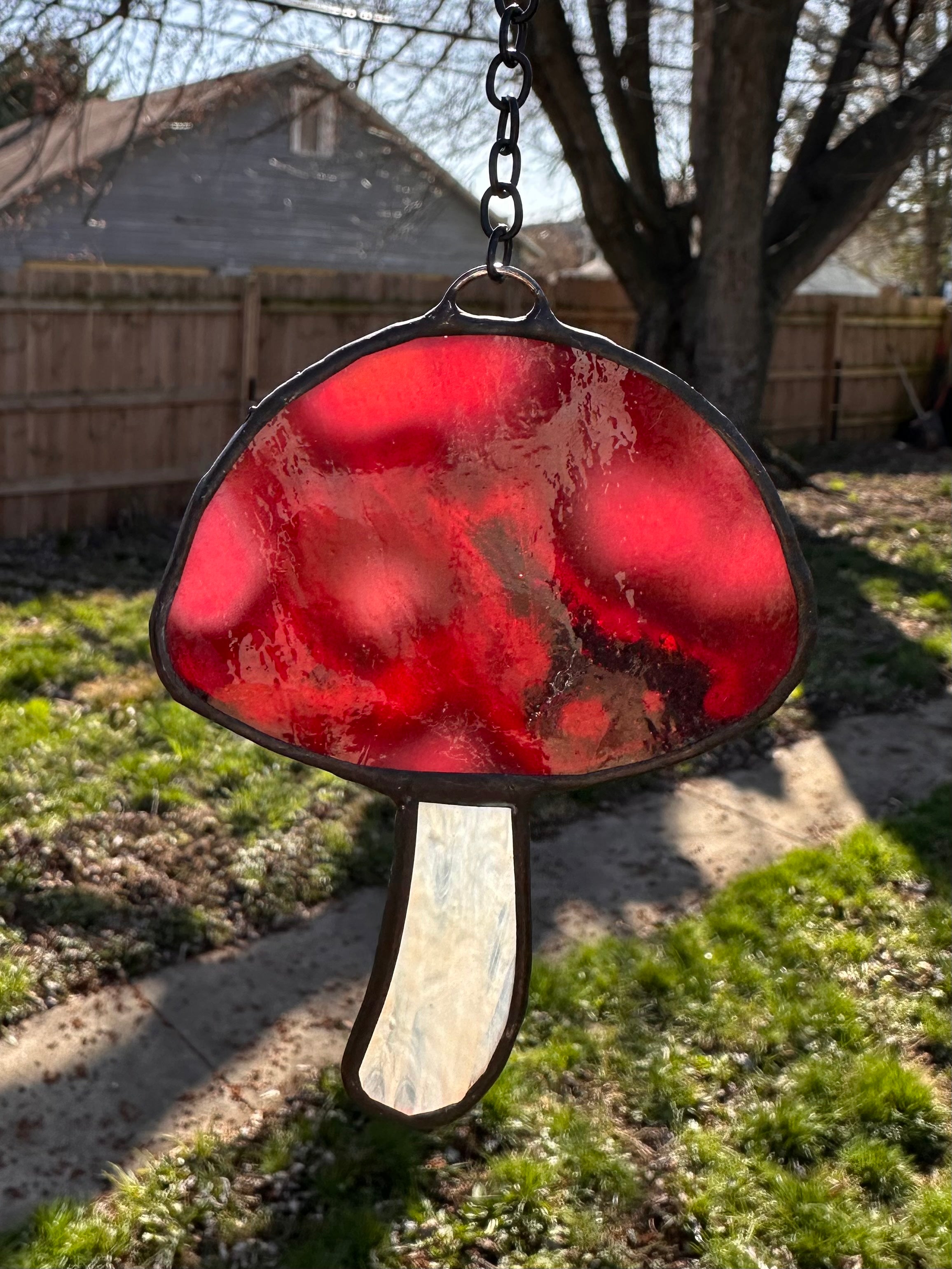 Red Mottled Mushroom