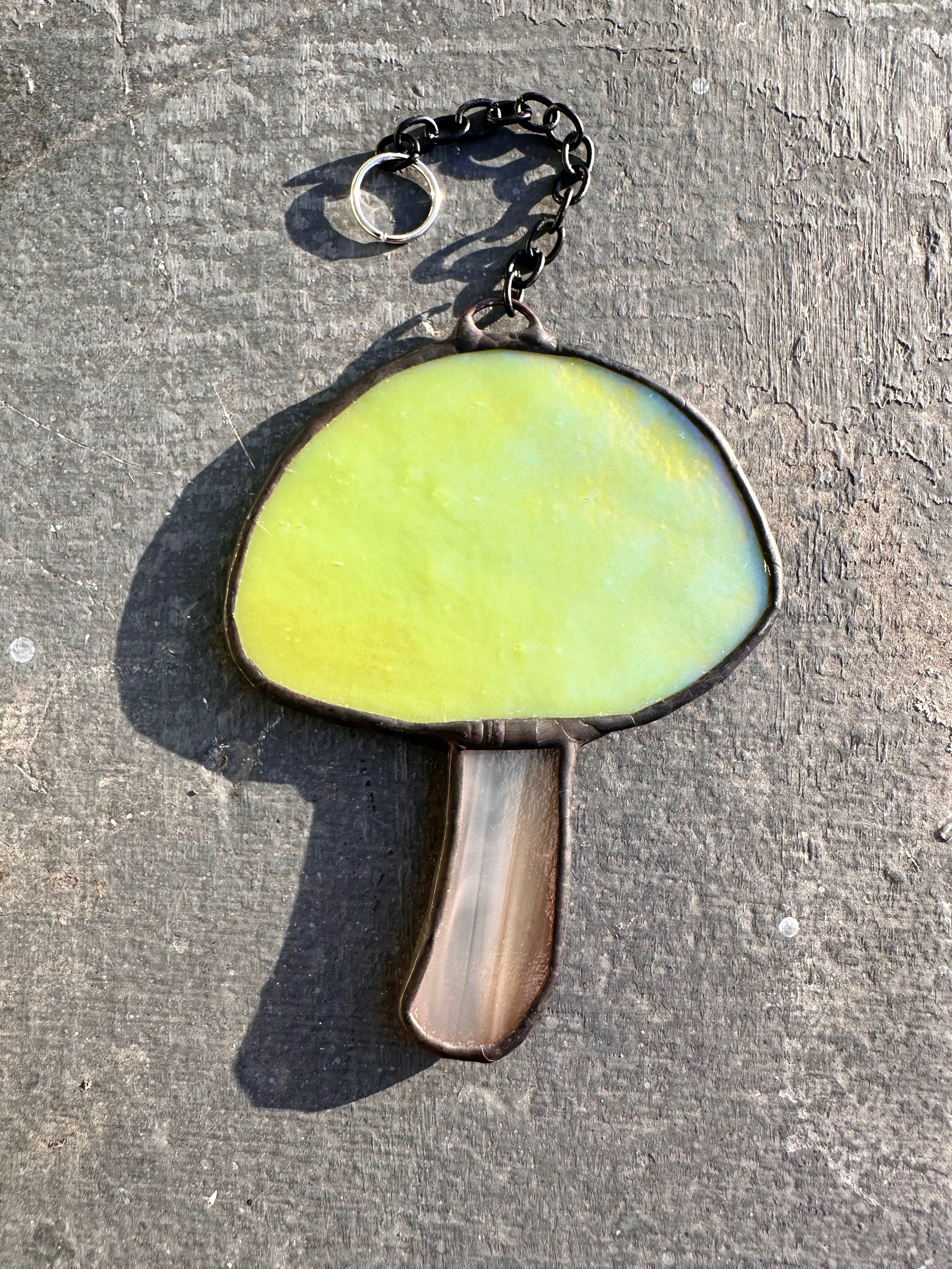 Iridescent Lime Mushroom